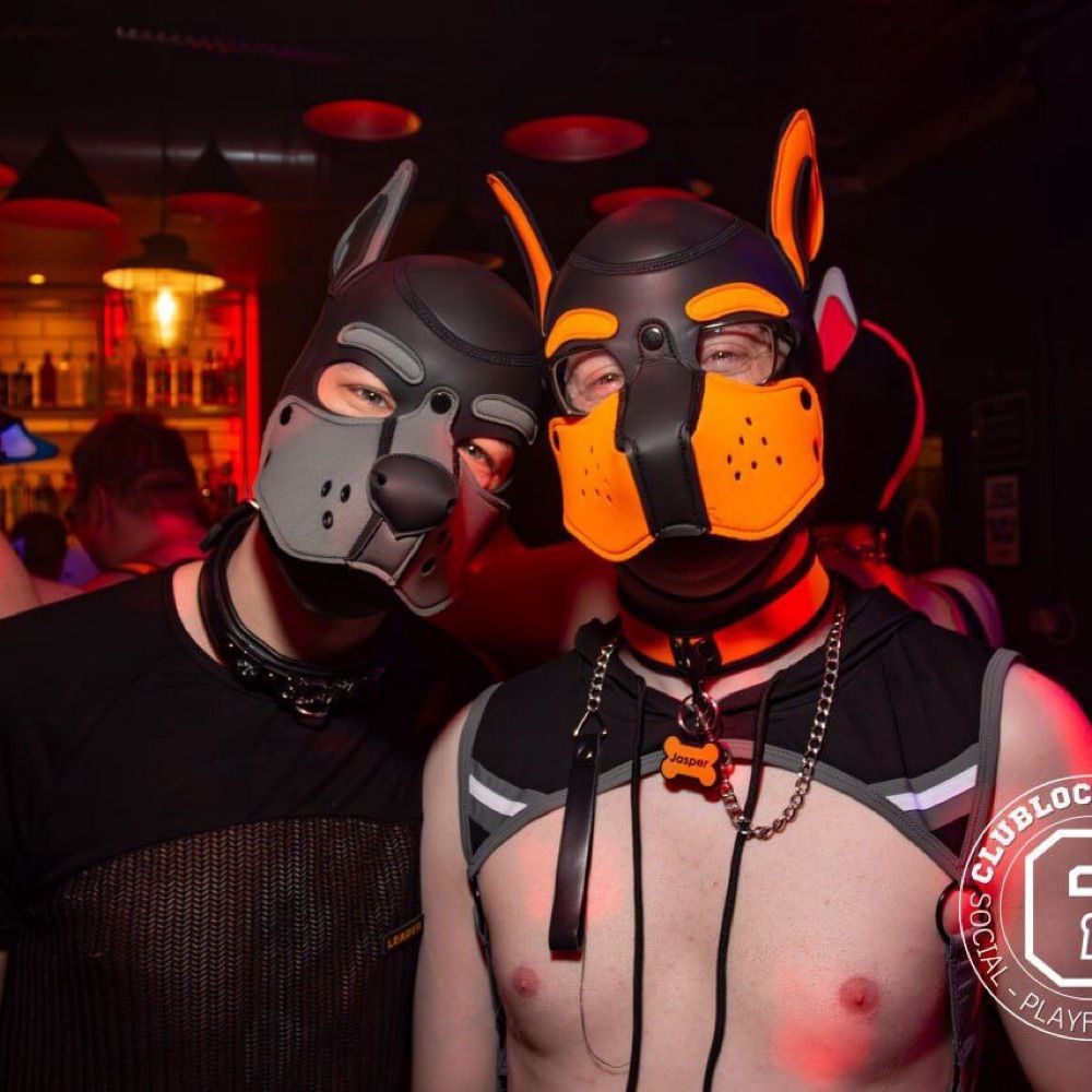 🐶 J•A•S•P•E•R 🌈