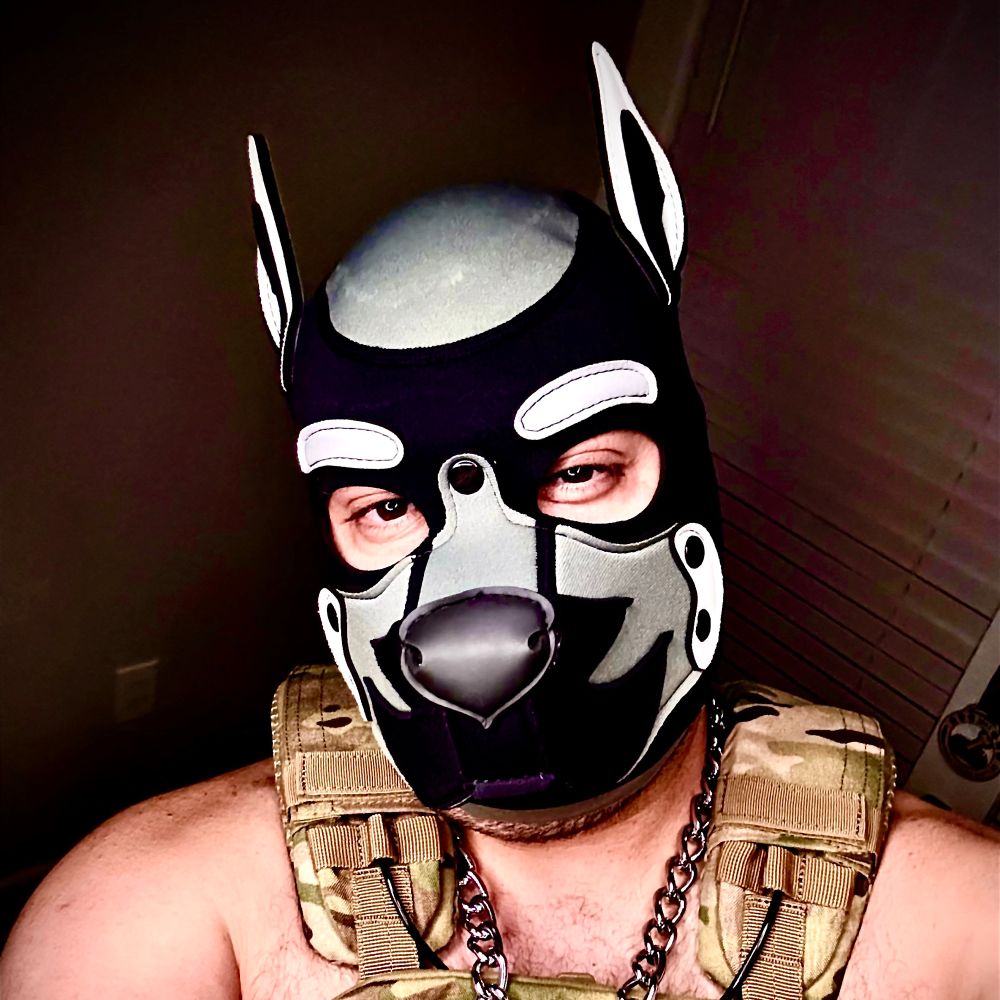 Shadow Wolf Xandr 🩶💛🧡