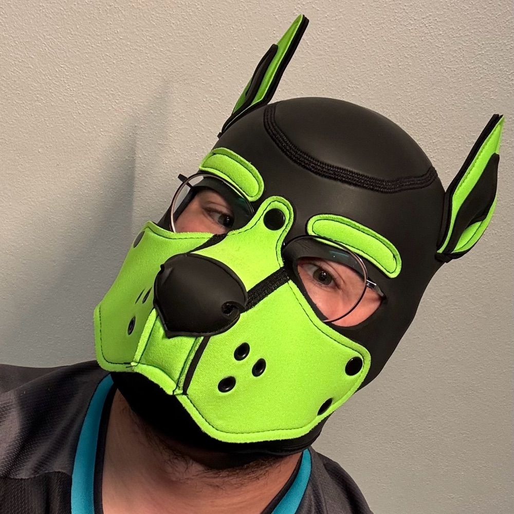 Pup_Niro