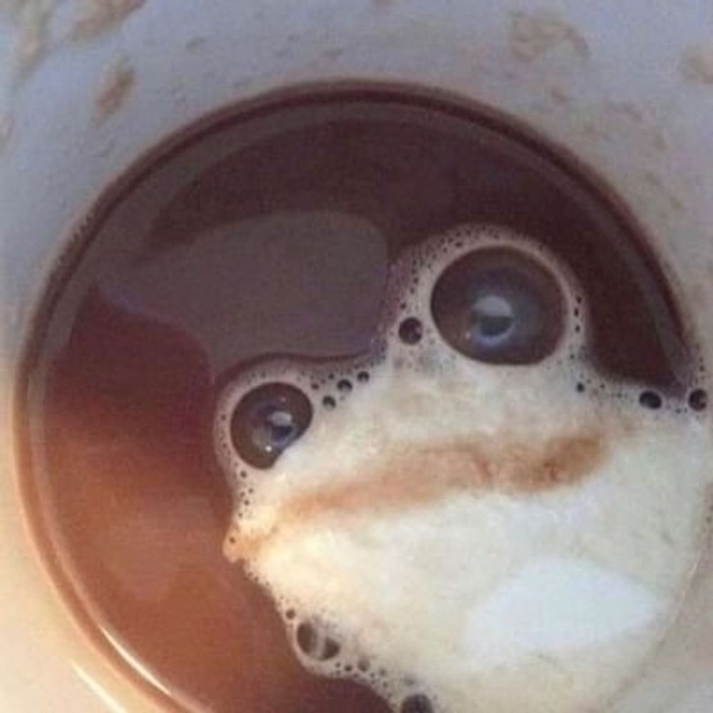 청개꼴이