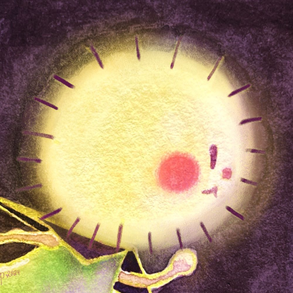dandelion wisp