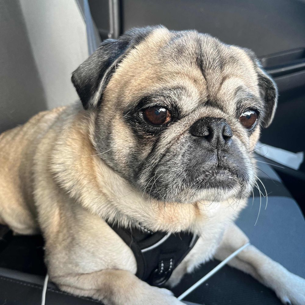 anthonylawton.bsky.social