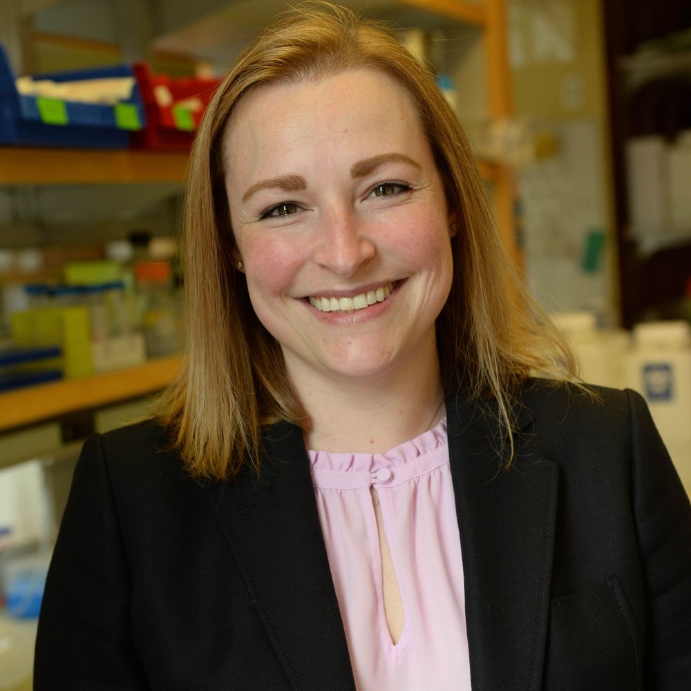 Schaffer Lab at CWRU