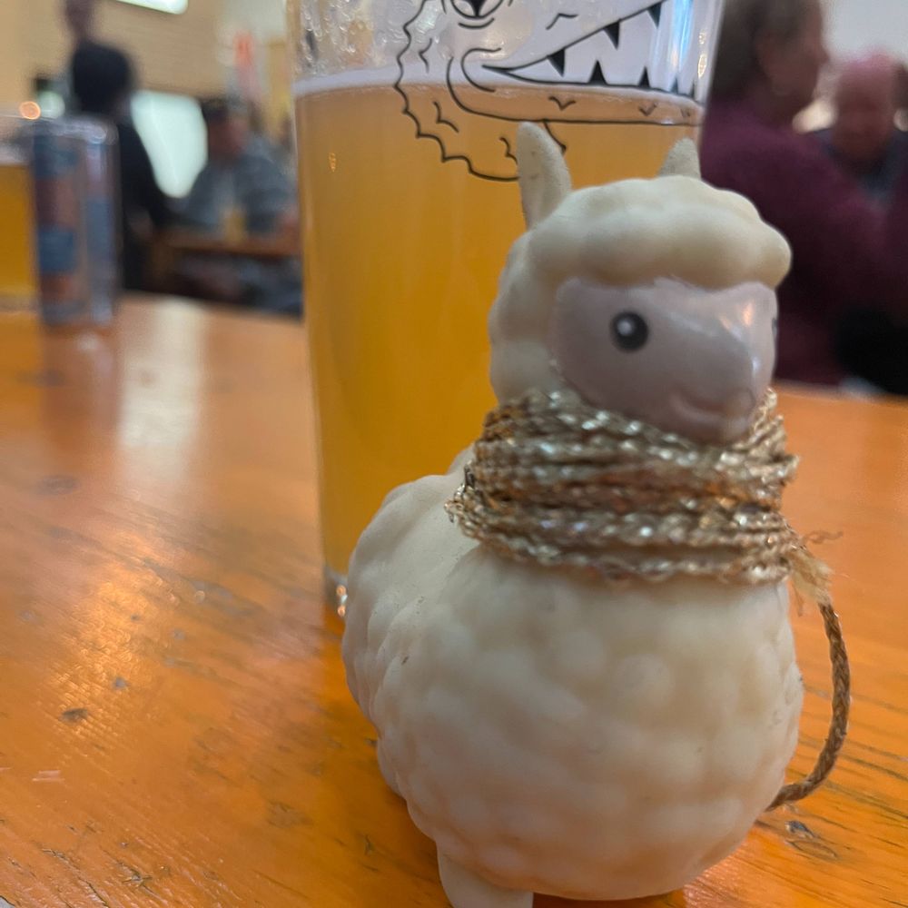 Lorenzo Llama