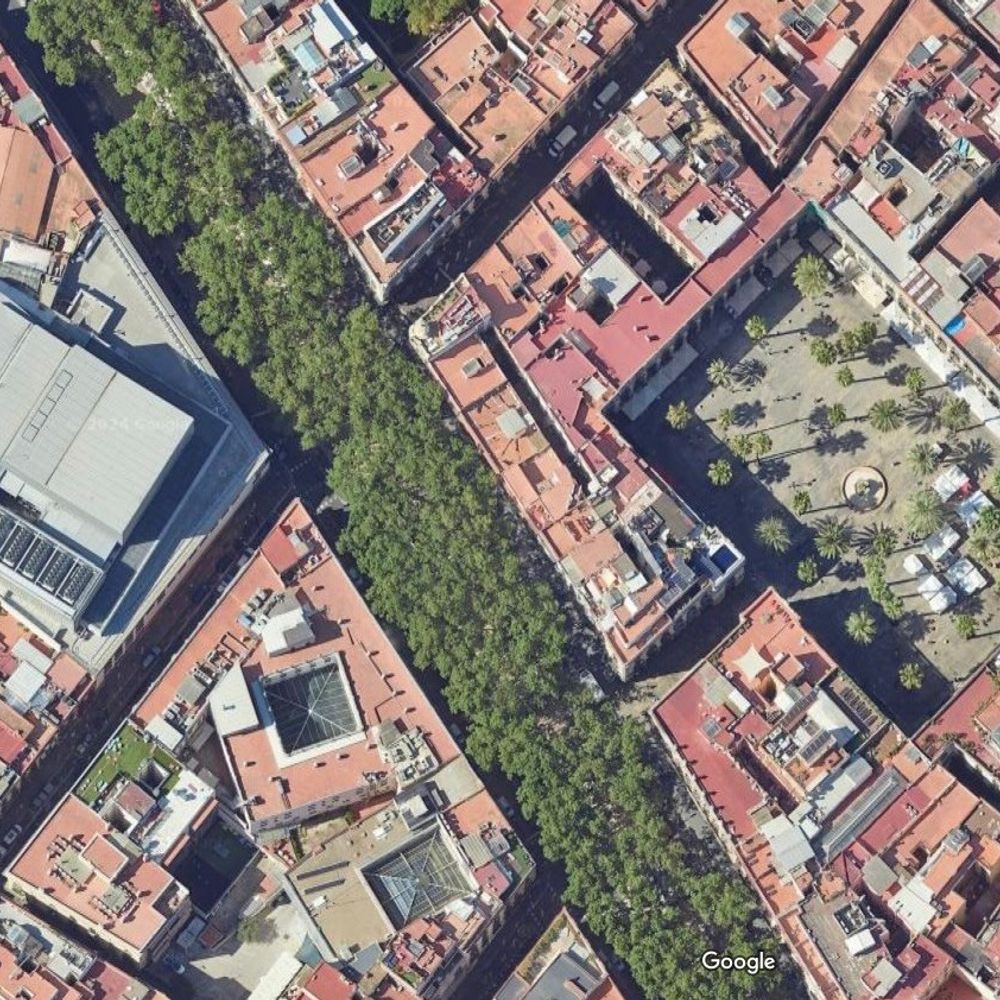 Street Design, The Secret to Great Cities and Towns