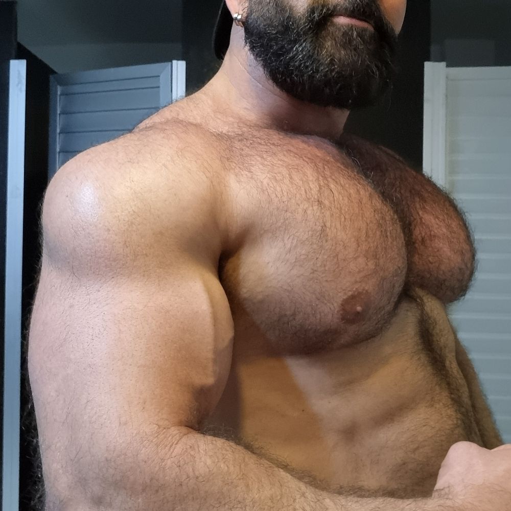 Bear-bodybuilder