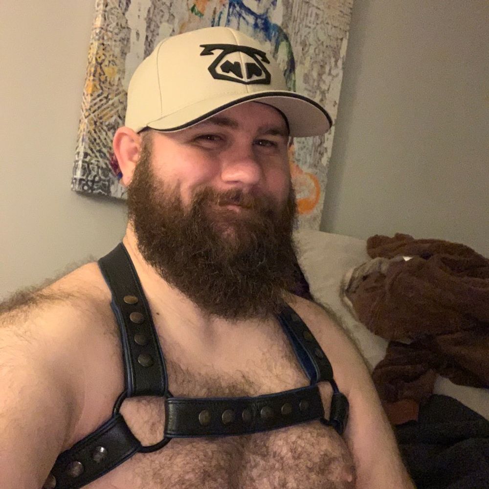 Piggy Cub 