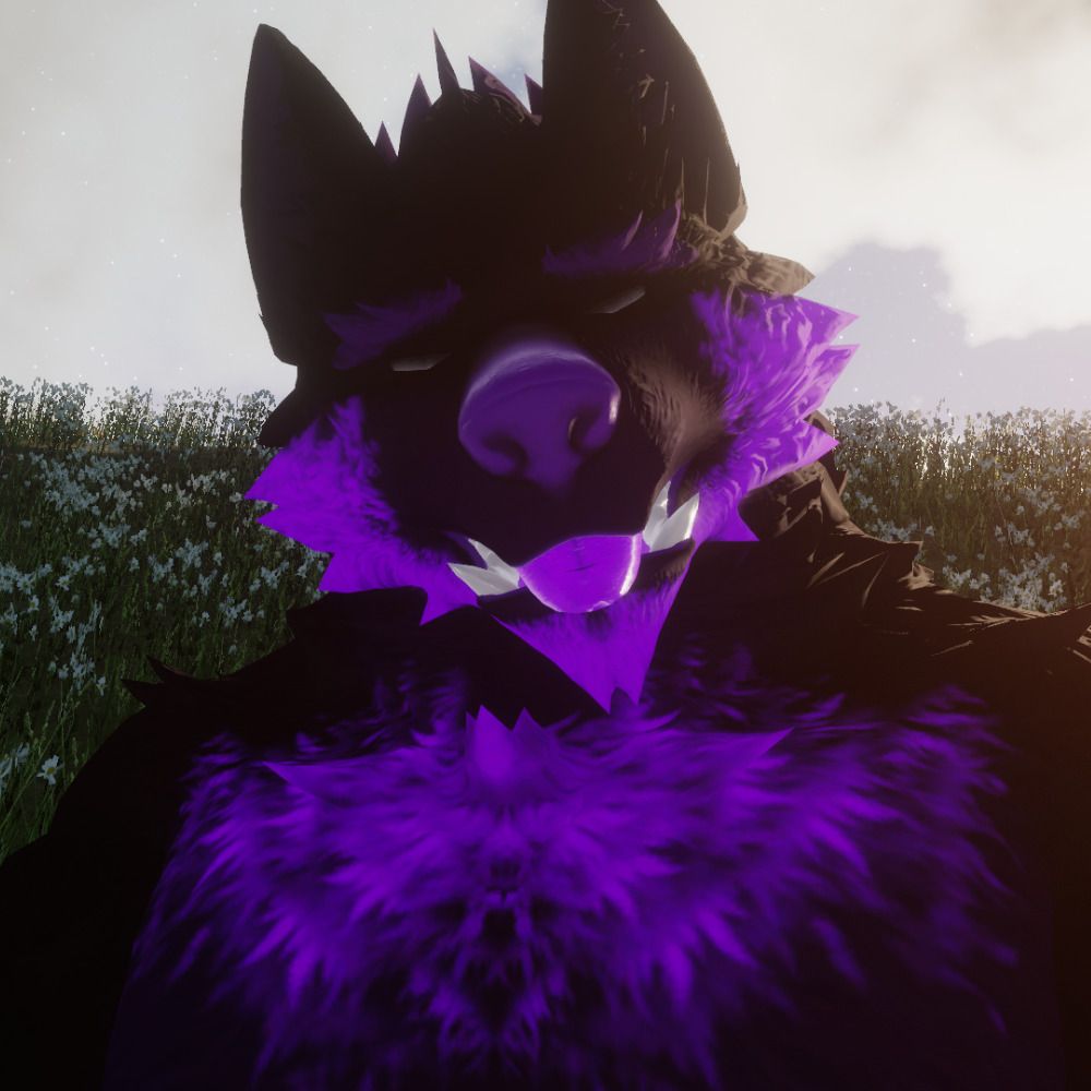 RAY