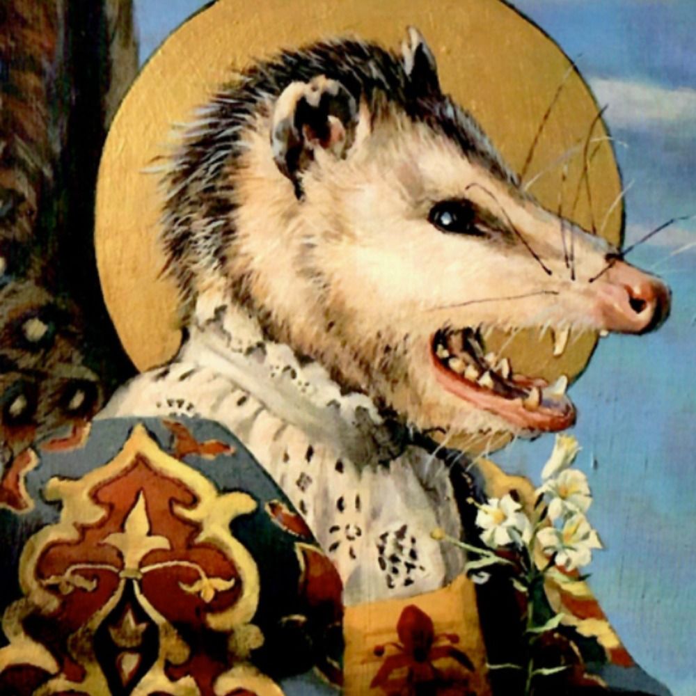 Possum Lover's avatar