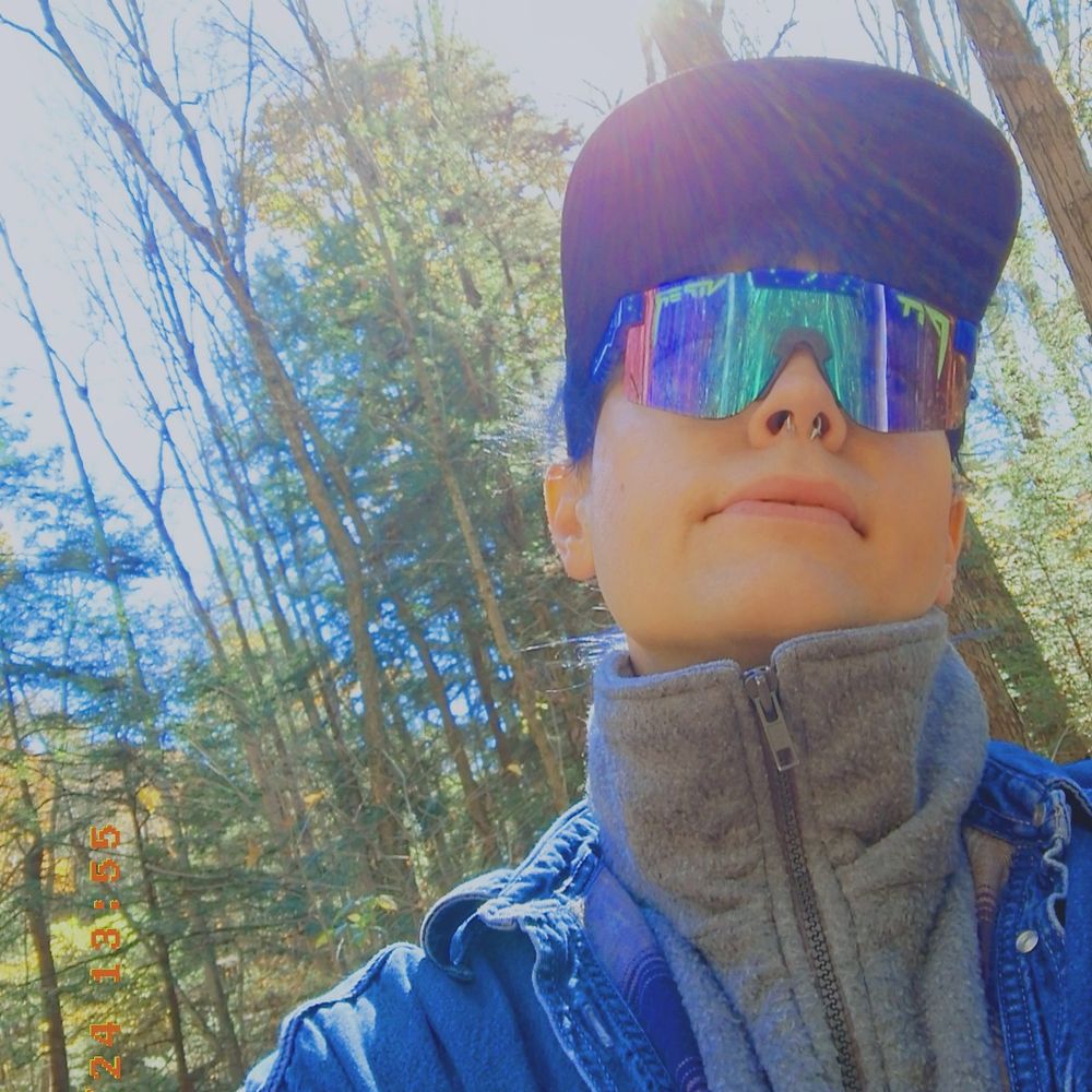 Bear 🐻