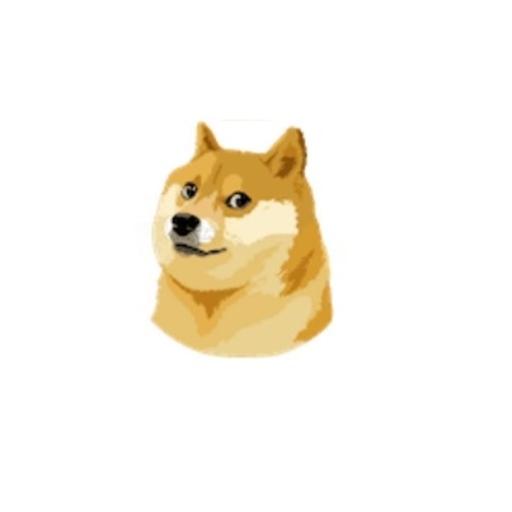 柴犬
