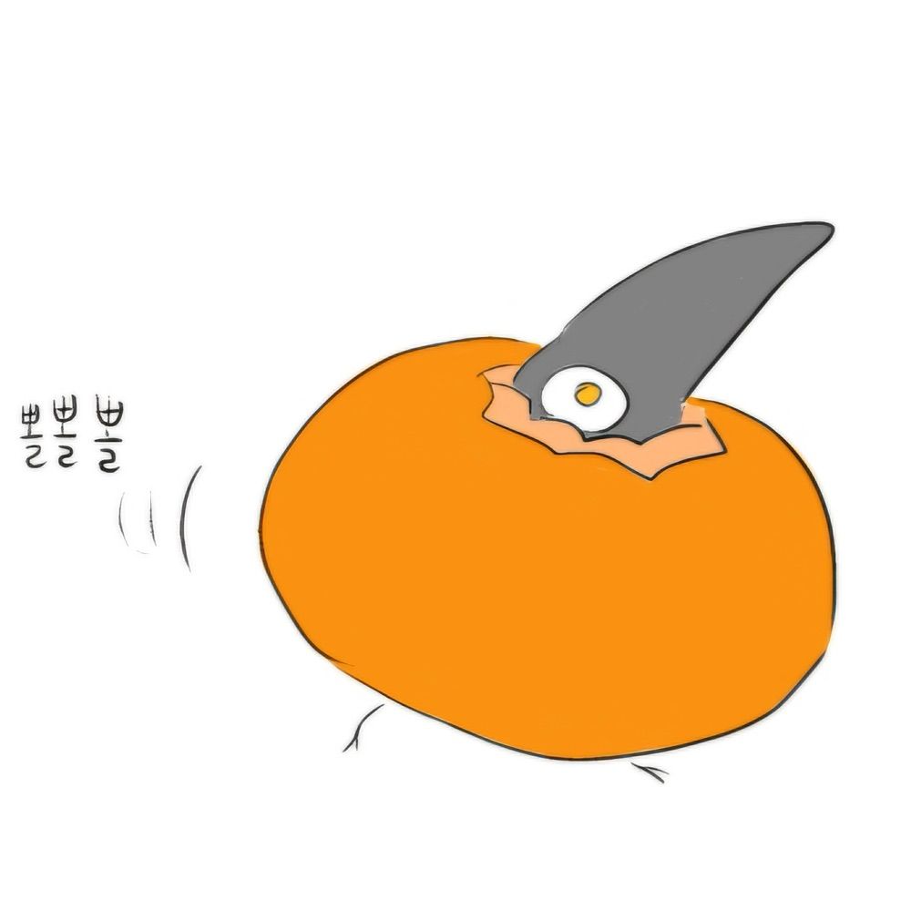 괄호 안에 갇힌 (톼)
