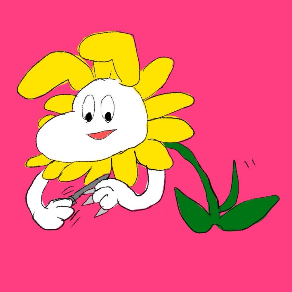 髙井 野花