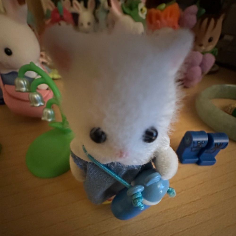 claire  ʕっ•ᴥ•ʔっ