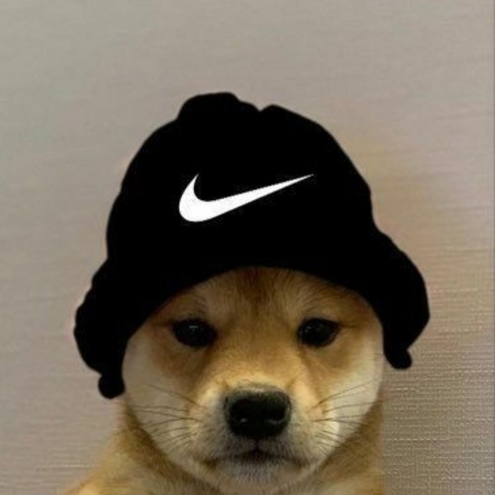 goão ツ