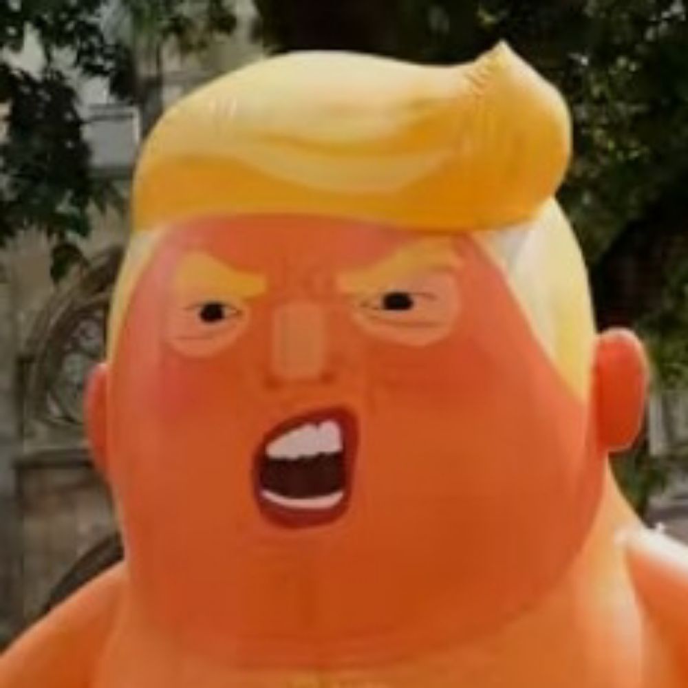 Tangerine Felon