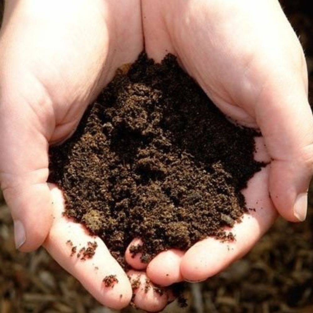 Dirt