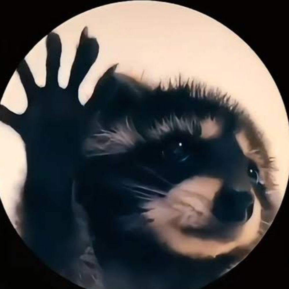 ᘛ⁠⁐̤⁠ᕐ⁠ᐷ