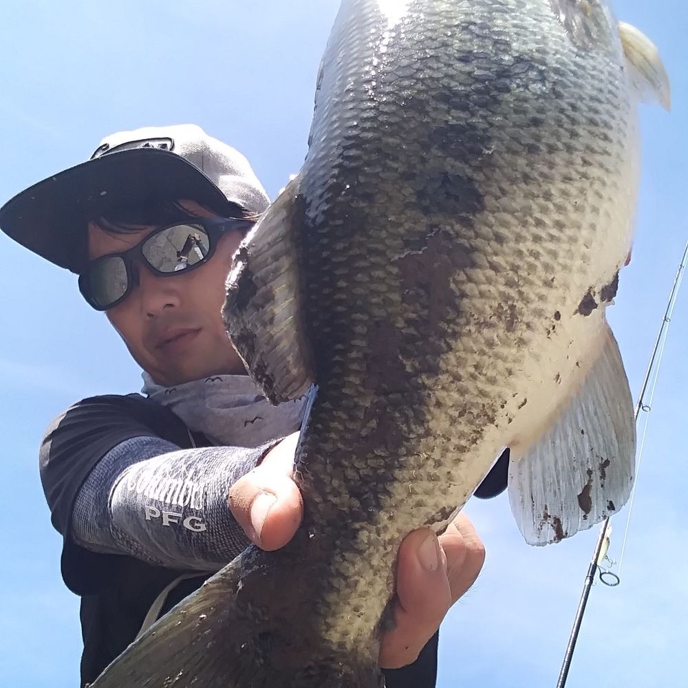 fraternity unforgettable bassfishing