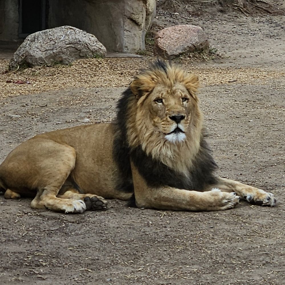 Kaiya
