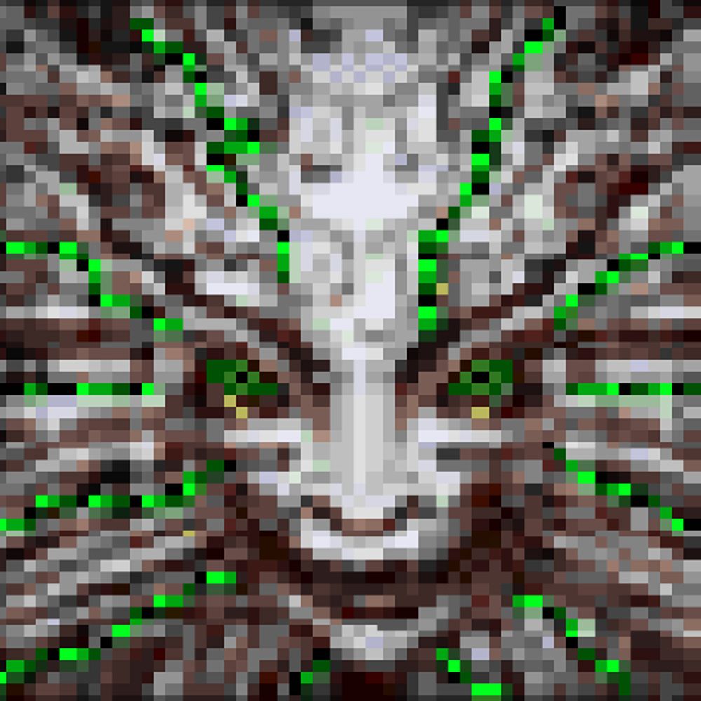 schism