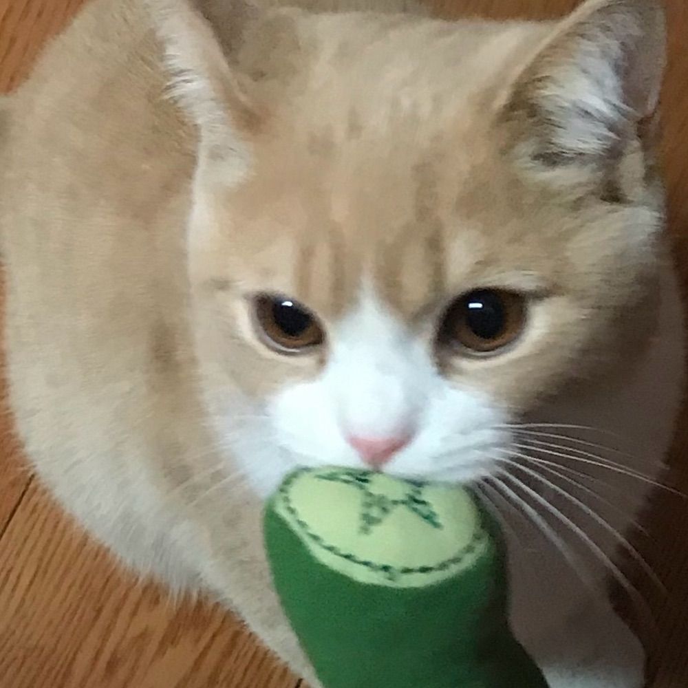 可