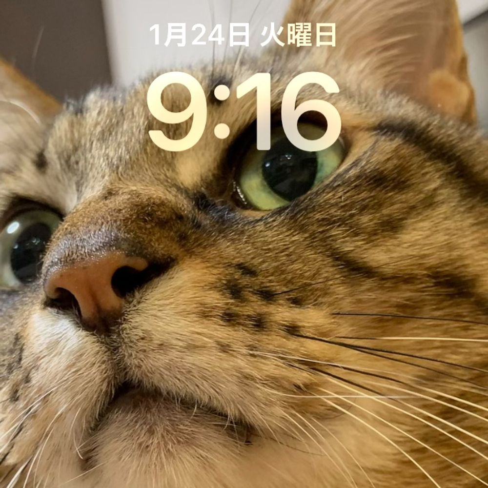 長澤唯史