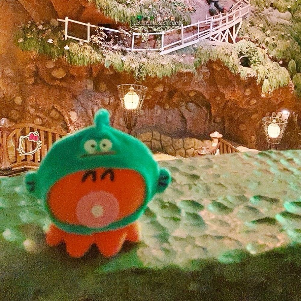 🐢