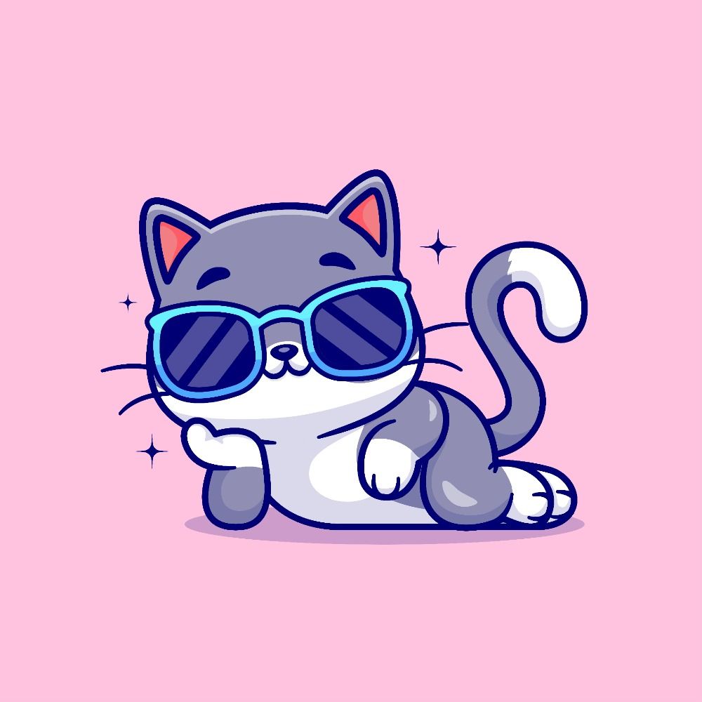 cats folder