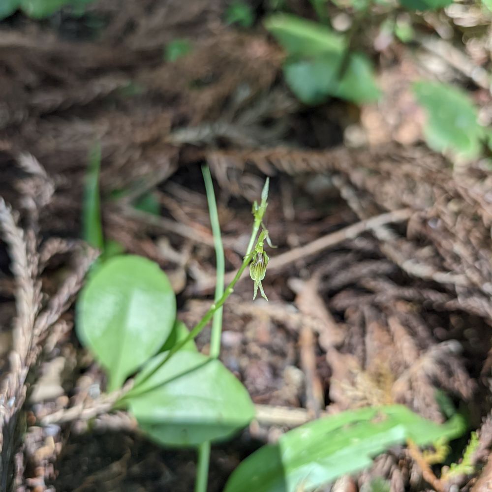 abemakinokai.bsky.social