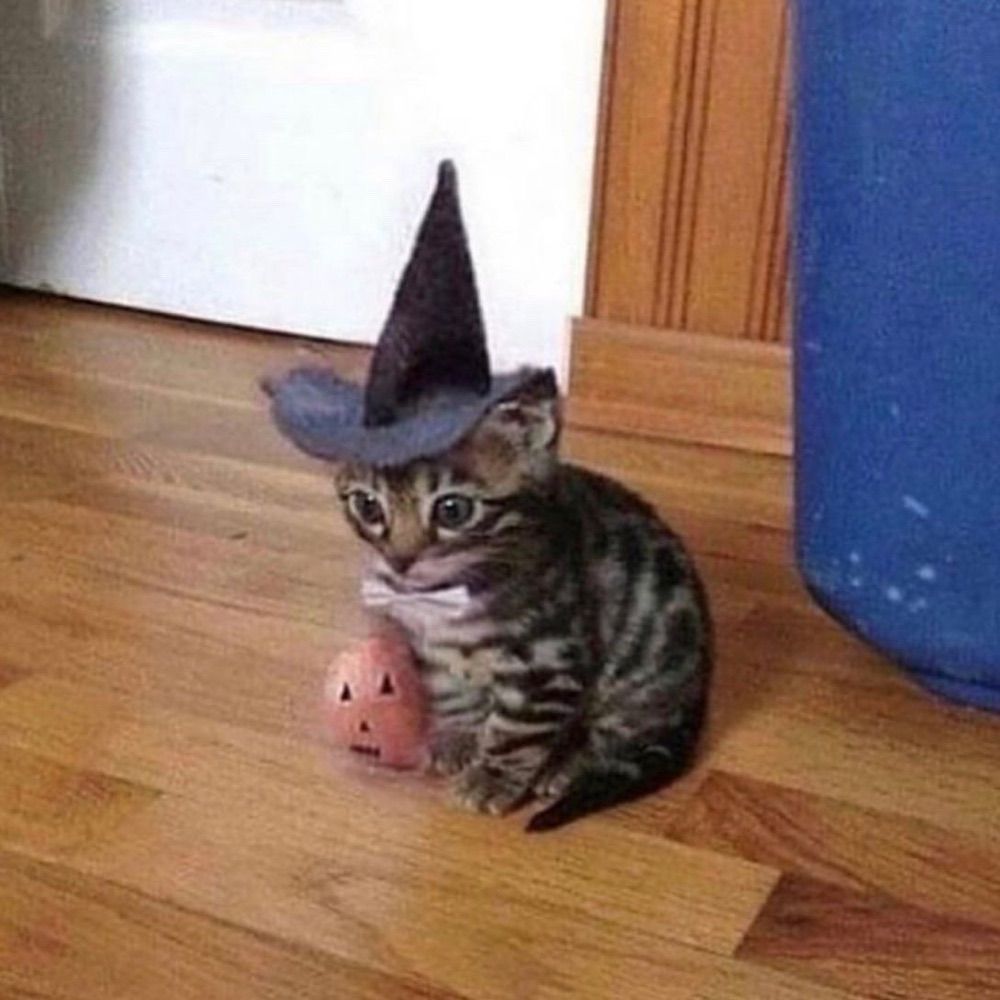 катюшика