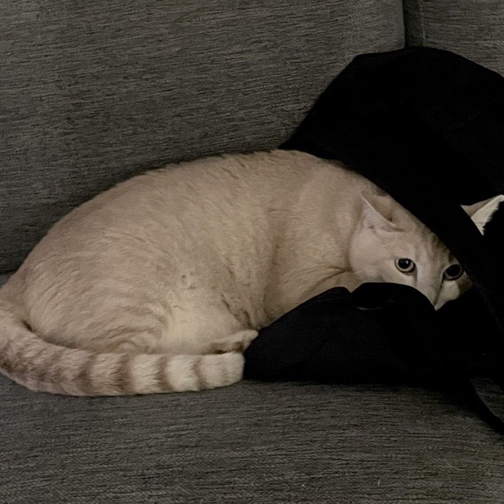 うちゅ~