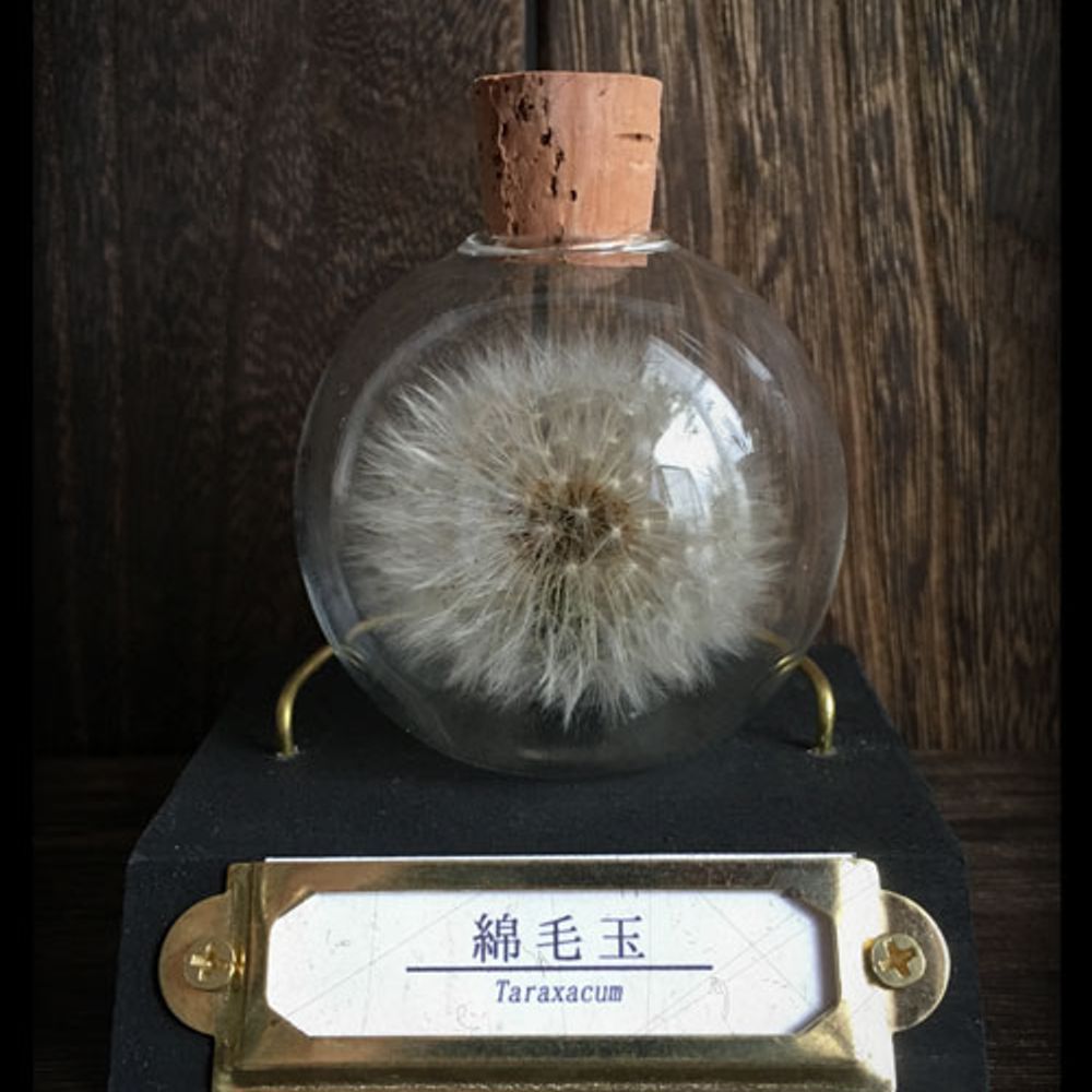 明星堂
