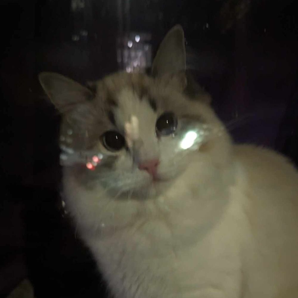 Ghoose