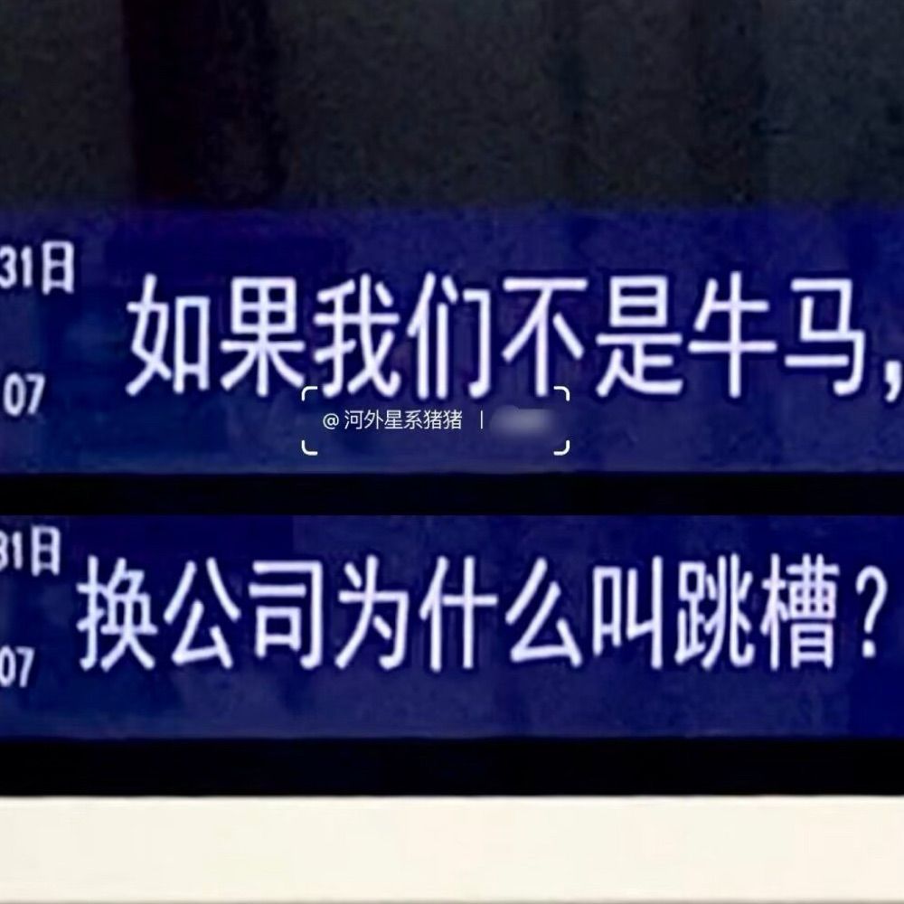 一帮傻叉爱看不看滚