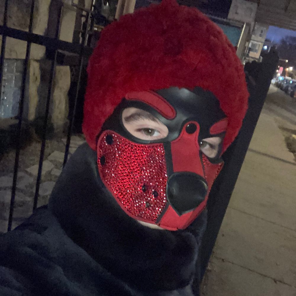 Pup Epic