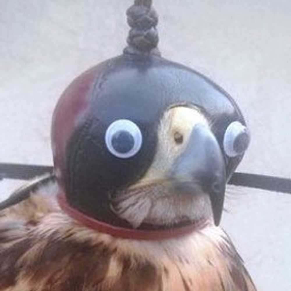 MrYoshimitsu