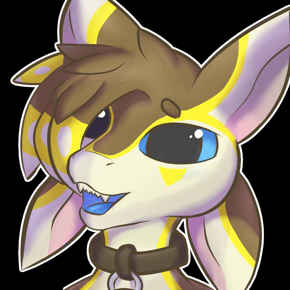 Alcyr