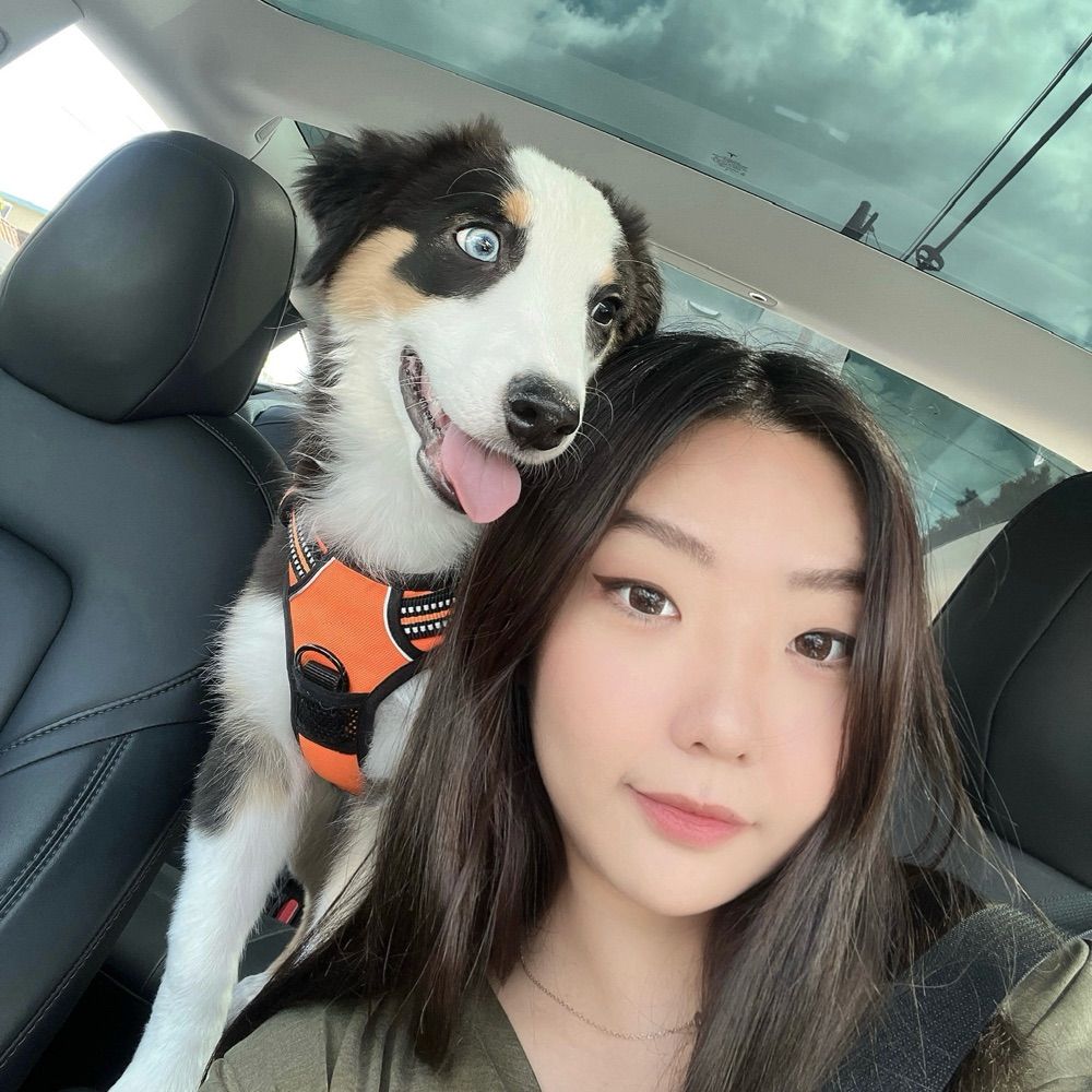 sarah 세란