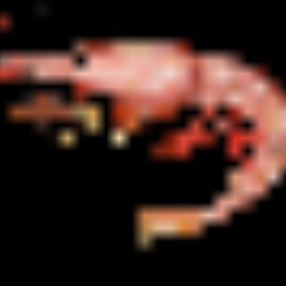 srimp