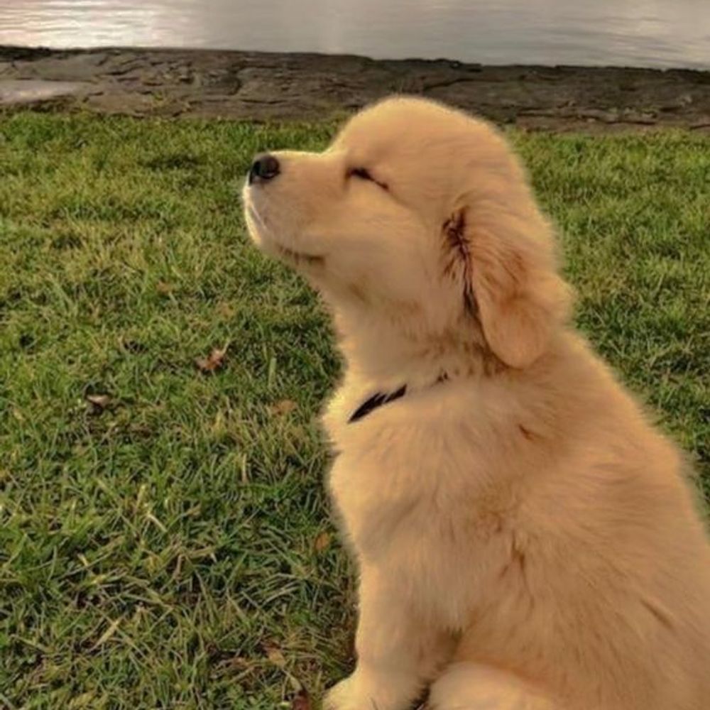 Sam(ᵘᵉˡ)
