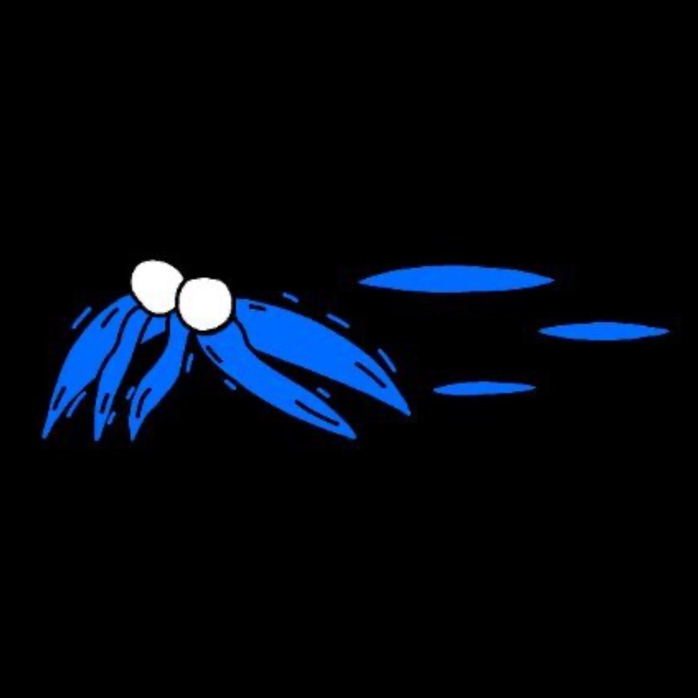 THESKUTTLR