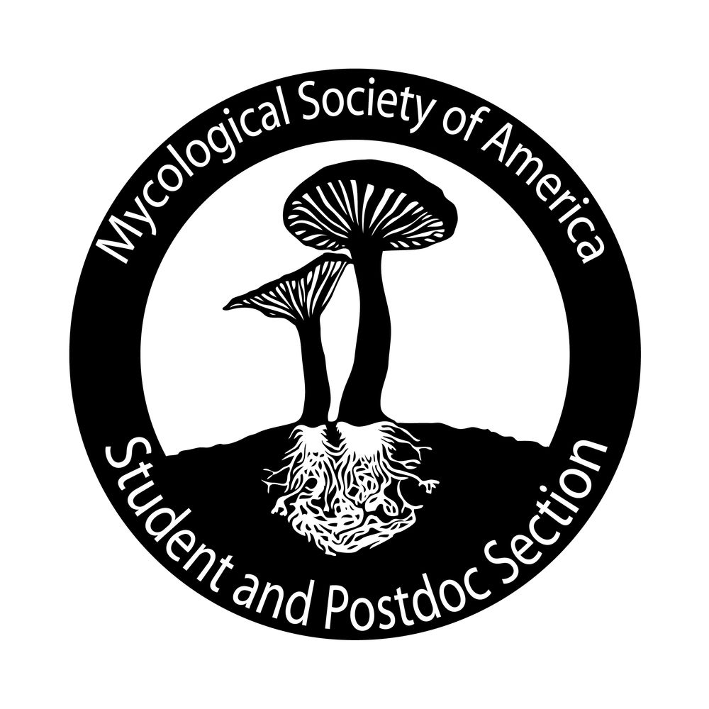 MSA SPS