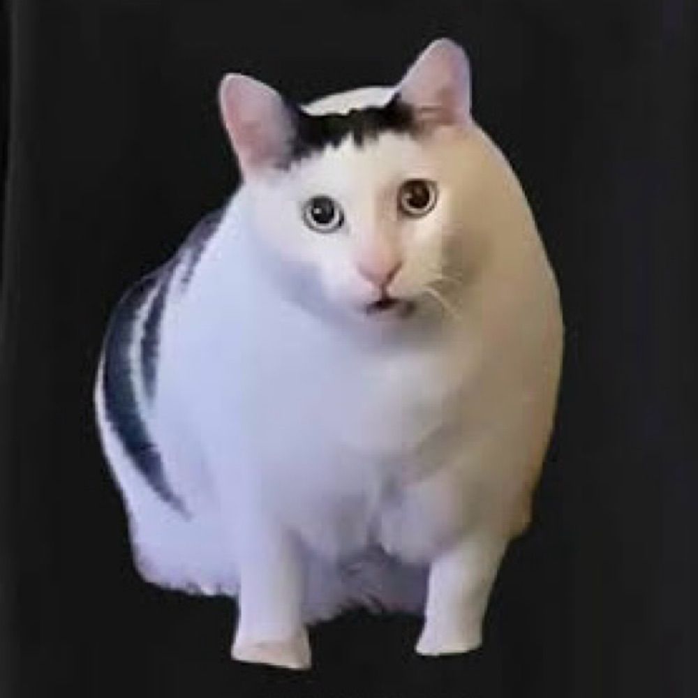 ニイやんRT