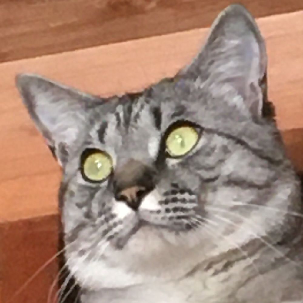 はろるど