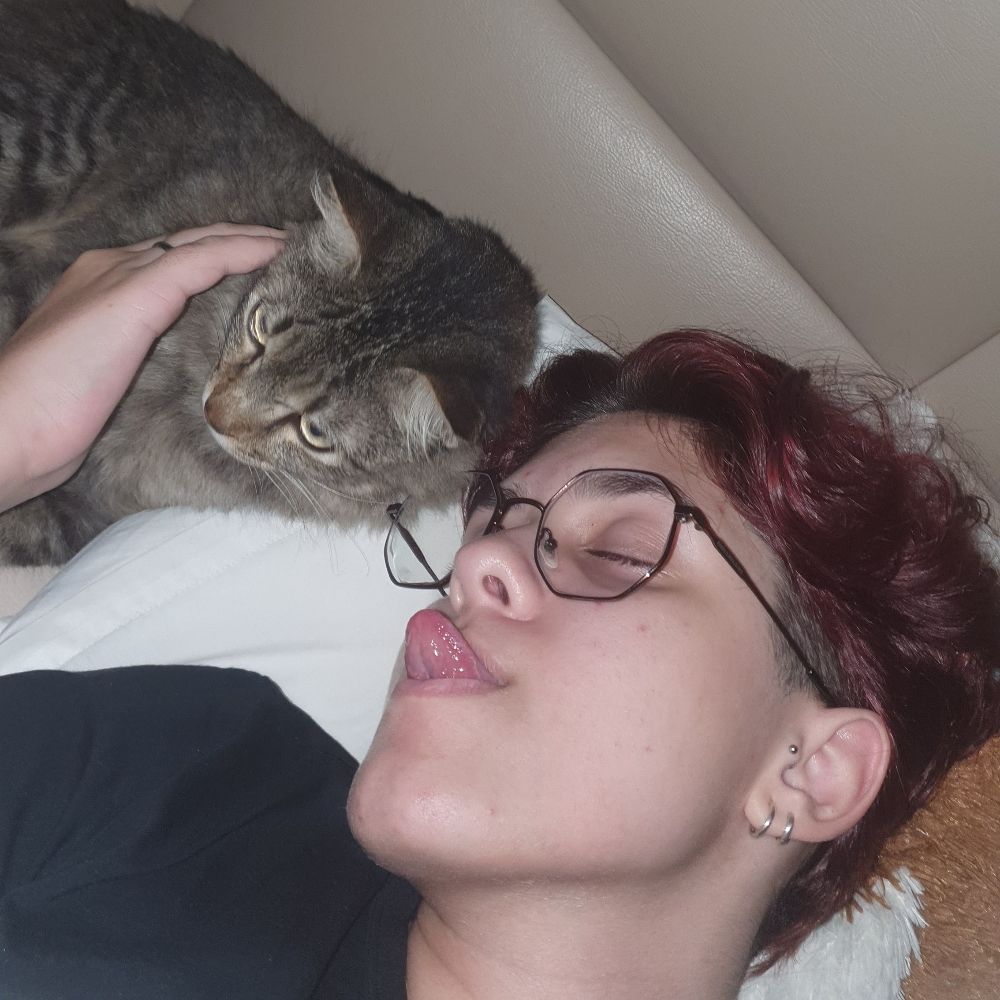 Pica Pau