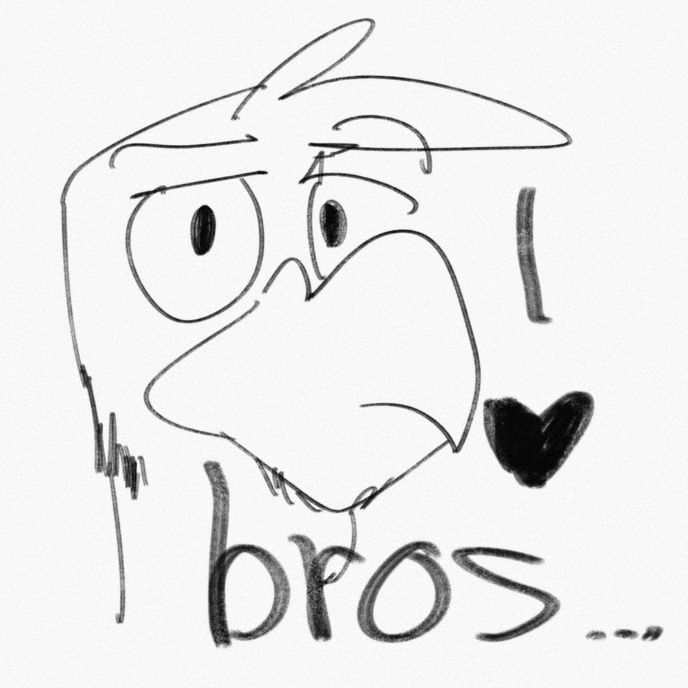 brofiction