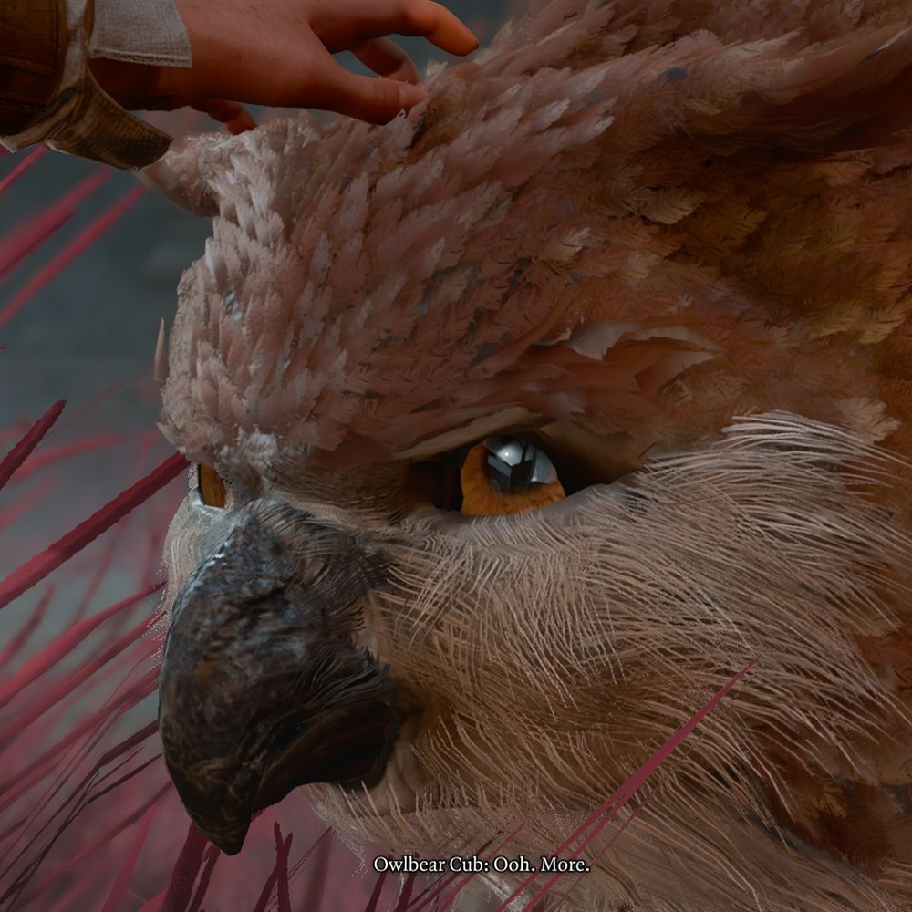 Falcon