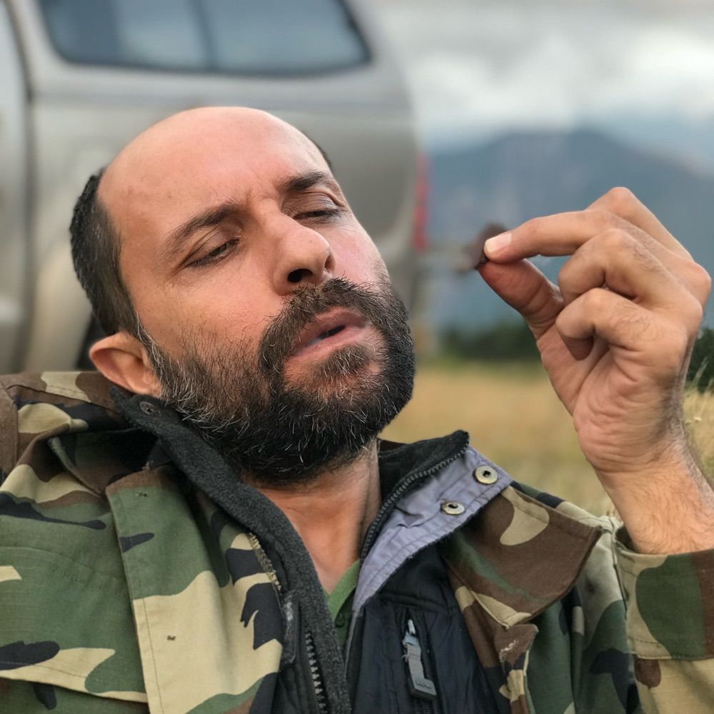 Hakan Yavuz