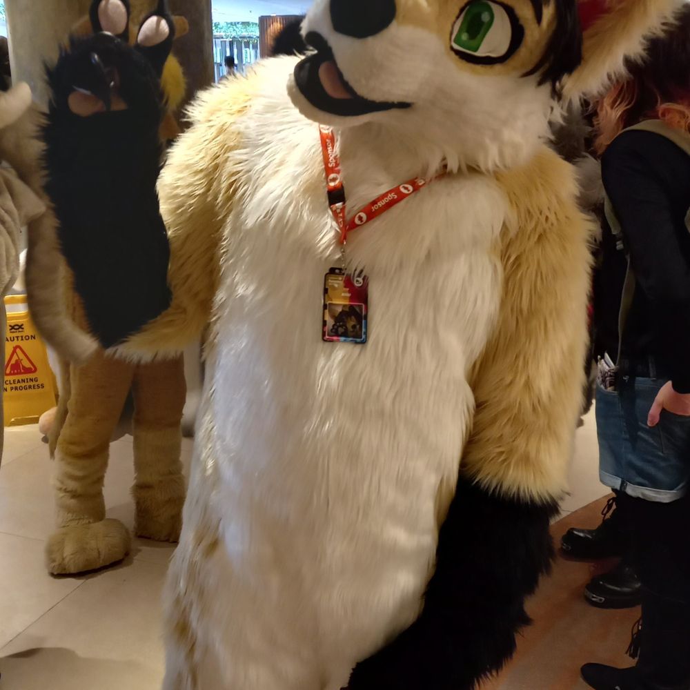Jekiu fox 🦊